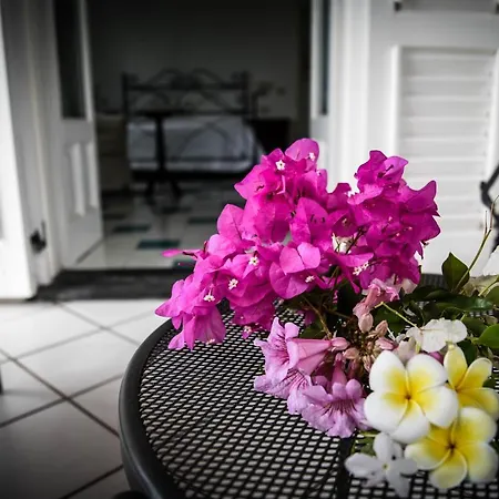 Apartment Fiorita Lipari - Girasole *